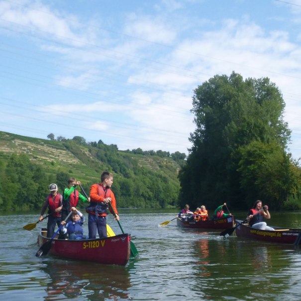 Menschen paddeln in Kanus auf dem Neckar, umgeben von grüner Landschaft und Weinbergen unter blauem Himmel., © Die Zugvögel - Kanu-Tours und mehr Menschen paddeln in Kanus auf dem Neckar, umgeben von grüner Landschaft und Weinbergen unter blauem Himmel., © Die Zugvögel - Kanu-Tours und mehr