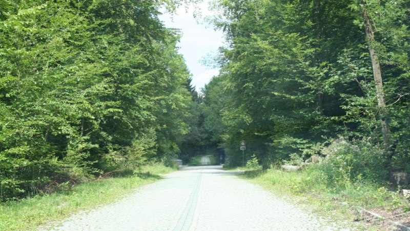 Ein gepflasterter Weg führt durch einen dichten Wald mit üppigem Grün. Die Bäume säumen den Weg und spenden Schatten., © Natur.Nah. Schönbuch & Heckengäu