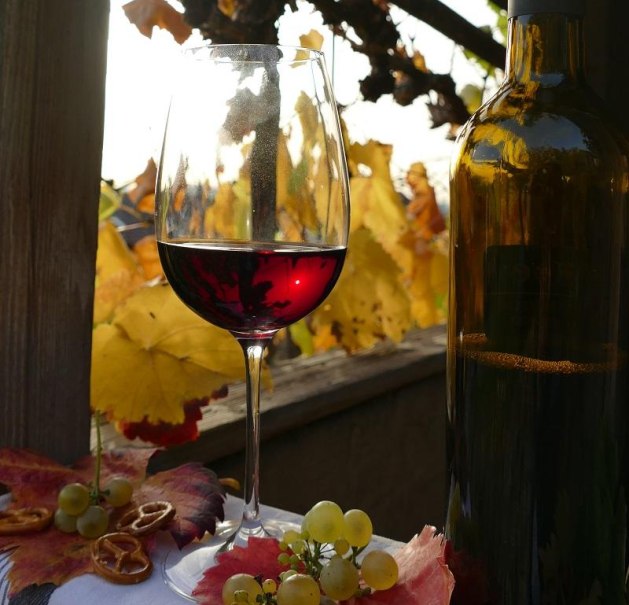 Genussf&uuml;hrung: Der Fluss &ndash; das Land &ndash; die Weinmacher, &copy; Copyright: Daisy Knisel