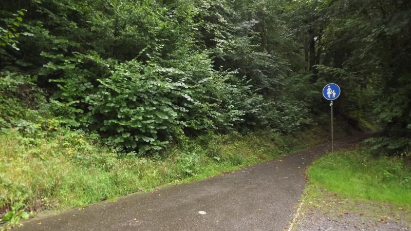 Ein schmaler, asphaltierter Weg schl&auml;ngelt sich durch einen gr&uuml;nen Wald. Ein Fu&szlig;g&auml;ngerweg-Schild ist am rechten Rand zu sehen., &copy; Natur.Nah. Sch&ouml;nbuch & Heckeng&auml;u