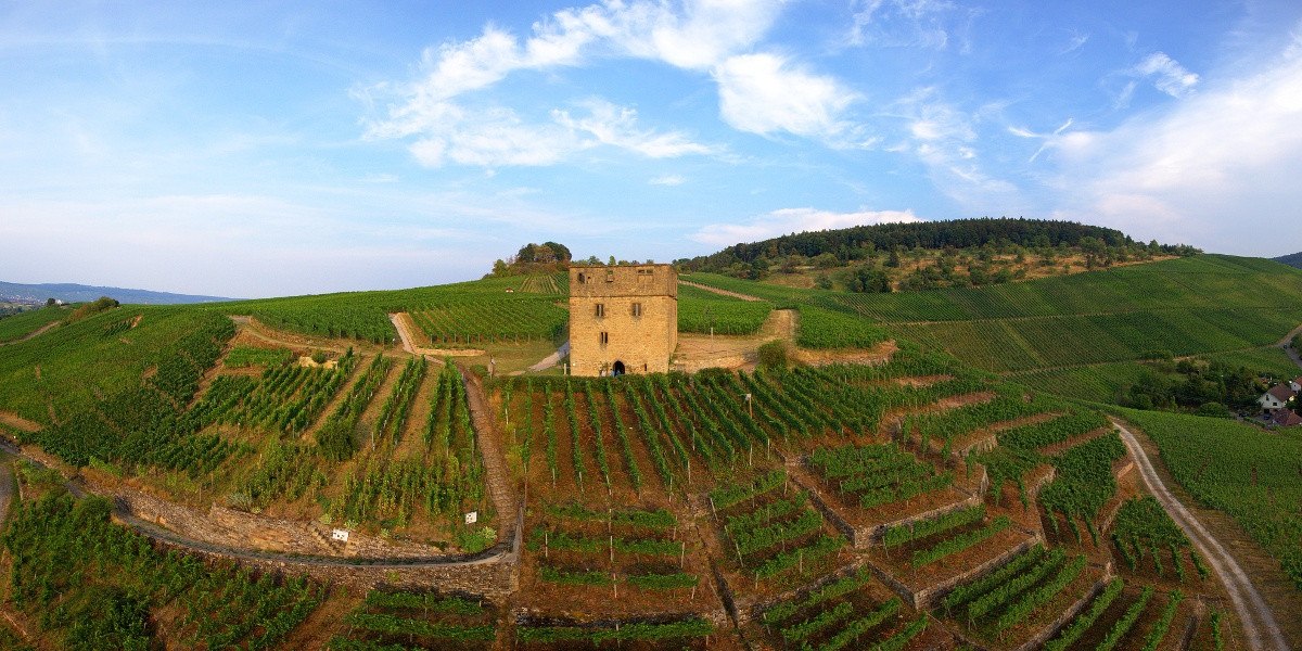 Die Y-Burg in Kernen im Remstal, umgeben von grünen Weinbergen unter blauem Himmel., © Stuttgart-Marketing GmbH Die Y-Burg in Kernen im Remstal, umgeben von grünen Weinbergen unter blauem Himmel., © Stuttgart-Marketing GmbH