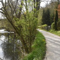 Ein schmaler Weg verläuft entlang eines Flusses, umgeben von Bäumen und grüner Vegetation. Der Himmel ist bewölkt., © Ev. Kirchenbezirk Schorndorf Ein schmaler Weg verläuft entlang eines Flusses, umgeben von Bäumen und grüner Vegetation. Der Himmel ist bewölkt., © Ev. Kirchenbezirk Schorndorf