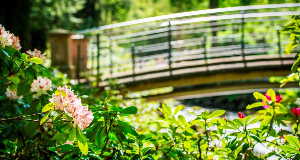 Kurpark Br&uuml;cke, &copy; N&ouml;rdlicher Schwarzwald