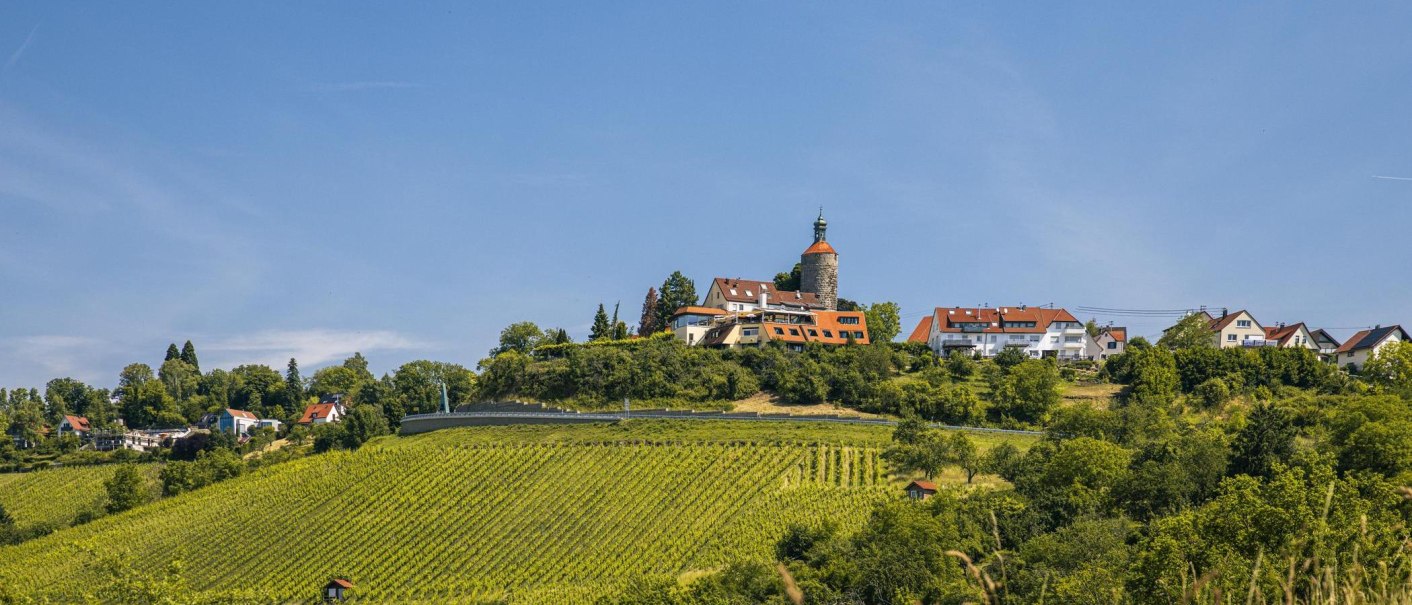 Weinberge erstrecken sich vor der malerischen Kulisse der Burg in Winnenden, umgeben von Häusern und Bäumen unter klarem Himmel., © SMG, Sarah Schmid Weinberge erstrecken sich vor der malerischen Kulisse der Burg in Winnenden, umgeben von Häusern und Bäumen unter klarem Himmel., © SMG, Sarah Schmid