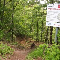 Gaildorfer Singletrail am Kirchberg, © Petra Natzkowski Gaildorfer Singletrail am Kirchberg, © Petra Natzkowski