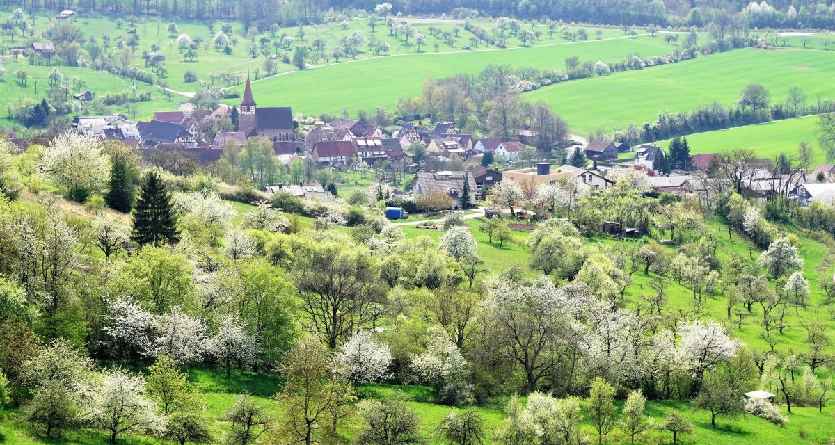 Schützingen, © Naturpark Stromberg-Heuchelberg Schützingen, © Naturpark Stromberg-Heuchelberg