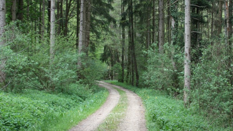 Durch den Schaubenwald, © Touristik und Marketing GmbH Schwäbisch Gmünd Durch den Schaubenwald, © Touristik und Marketing GmbH Schwäbisch Gmünd