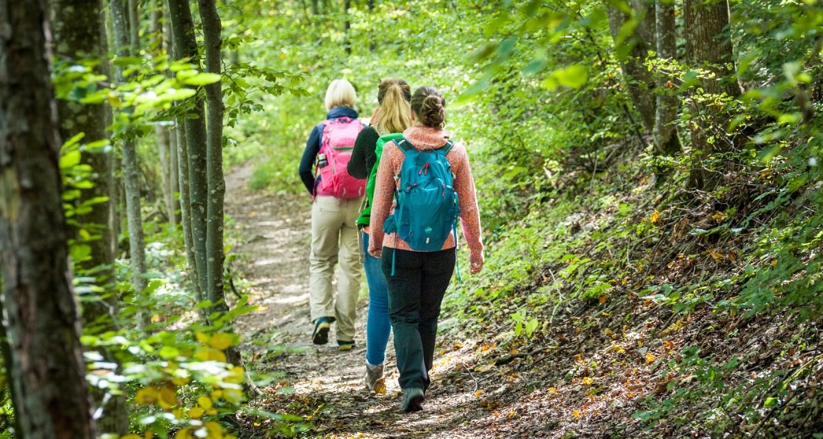 Wandern auf Pfaden, © hochgehberge Wandern auf Pfaden, © hochgehberge