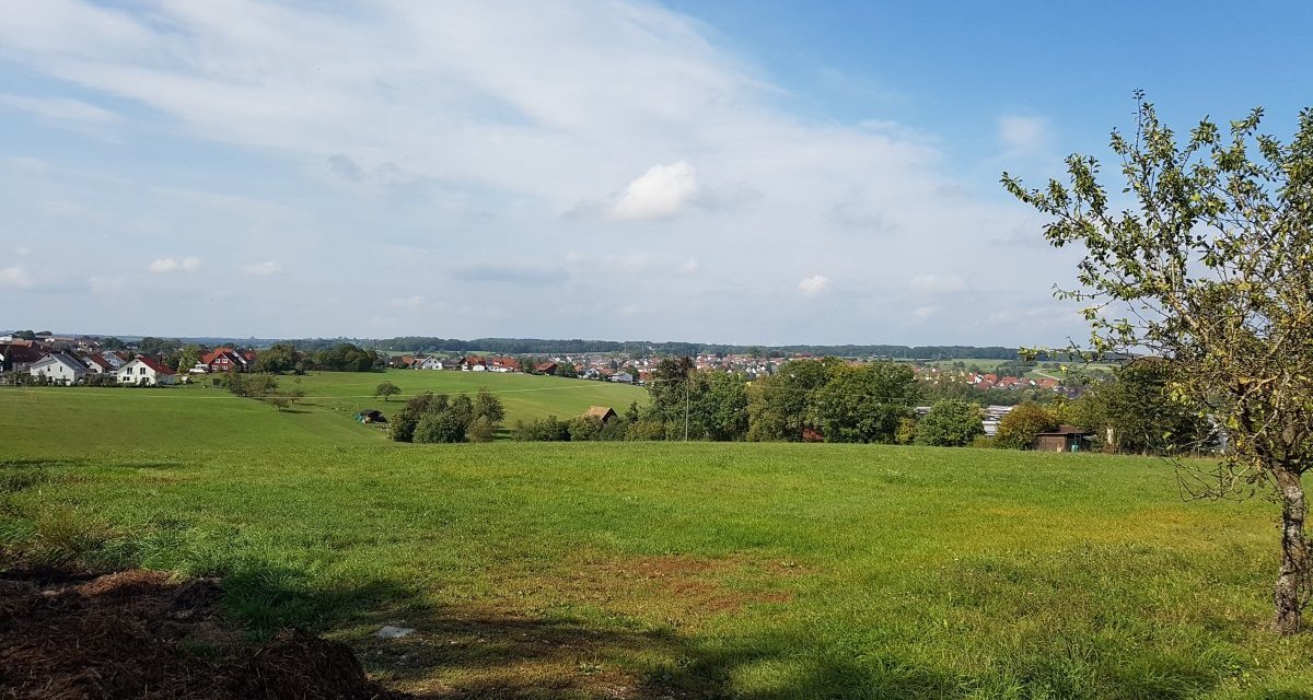 Gr&uuml;ne Wiesen mit Blick auf M&ouml;gglingen im Hintergrund, blauer Himmel und vereinzelte Wolken. Ein Baum rechts im Vordergrund., &copy; Remstal Tourismus e.V.