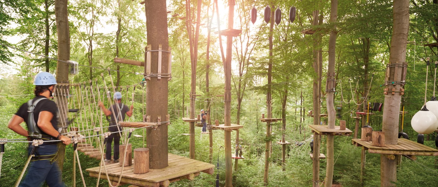 Menschen klettern im Kletterwald Plochingen auf Seilbrücken zwischen hohen Bäumen. Die Sonne scheint durch das Blätterdach., © © SMG, Jean-Claude Winkler