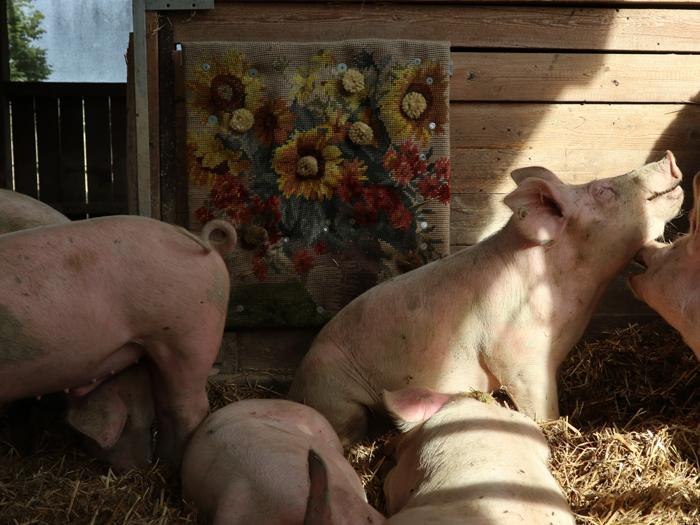 Eröffnung der neuen Sonderausstellung: „Großer Leberwurstaufstand“, © Foto: Universität Siegen Eröffnung der neuen Sonderausstellung: „Großer Leberwurstaufstand“, © Foto: Universität Siegen