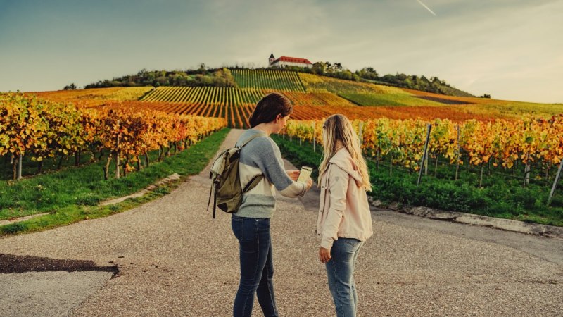 Unterwegs am Michaelsberg | Cleebronn, © Touristikgemeinschaft HeilbronnerLand e.V. Unterwegs am Michaelsberg | Cleebronn, © Touristikgemeinschaft HeilbronnerLand e.V.