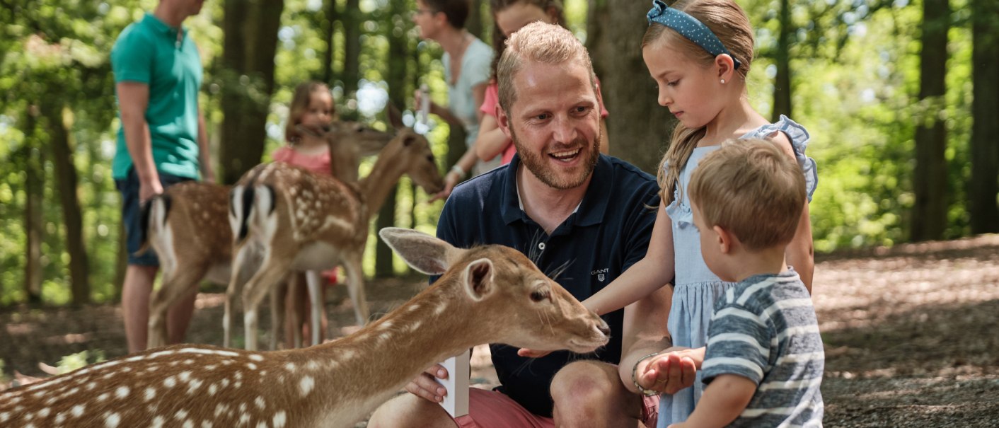 Eine Familie füttert Rehe im Wildparadies Tripsdrill. Ein Mann und zwei Kinder interagieren mit den Tieren in einem bewaldeten Gebiet., © Wildparadies Tripsdrill