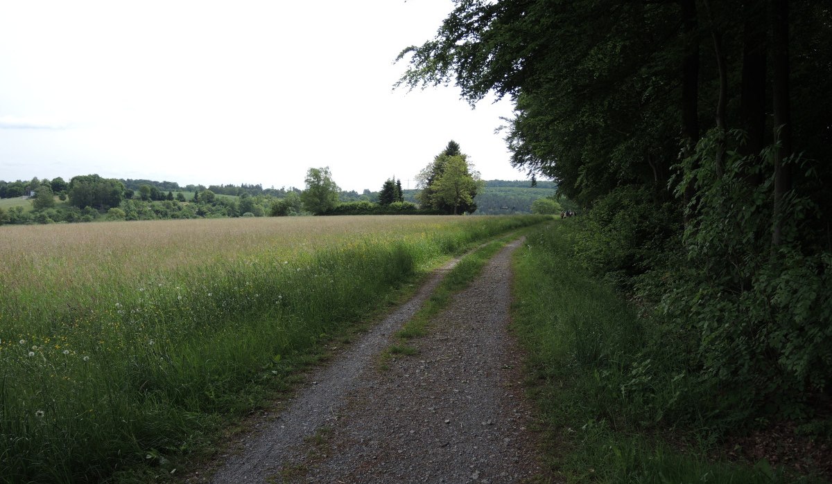 Ein schmaler Feldweg verläuft zwischen einer Wiese und einem Wald. Im Hintergrund sind Hügel und Bäume zu sehen., © Natur.Nah. Schönbuch & Heckengäu Ein schmaler Feldweg verläuft zwischen einer Wiese und einem Wald. Im Hintergrund sind Hügel und Bäume zu sehen., © Natur.Nah. Schönbuch & Heckengäu