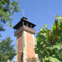 Der Burgholzhofturm ragt hinter grünen Weinreben und Bäumen in den blauen Himmel., © Stuttgart-Marketing GmbH