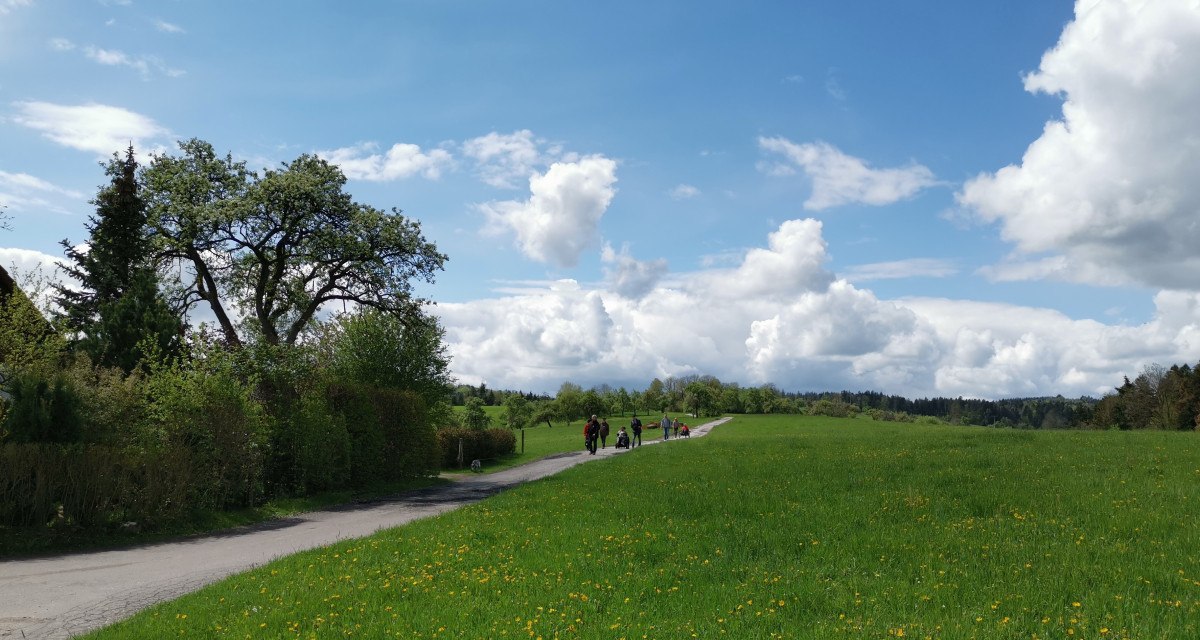 Inklusive Wanderbotschafter:innen - Morbachrundweg - Barrierefreie Wanderung mit Start in Großerlach