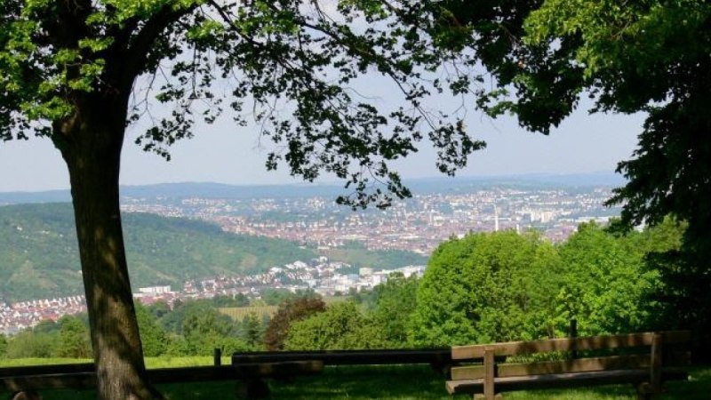 Aussicht bei der Esslinger Katharinenlinde auf das Neckartal, © Esslinger Stadtmarketing & Tourismus GmbH Aussicht bei der Esslinger Katharinenlinde auf das Neckartal, © Esslinger Stadtmarketing & Tourismus GmbH