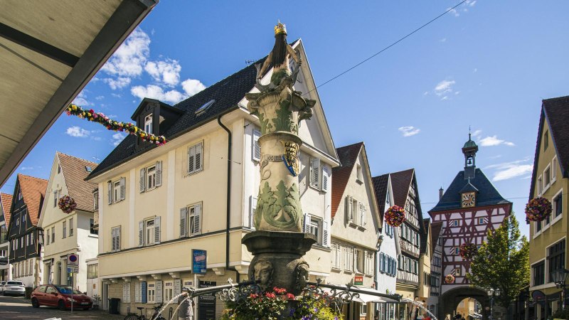 Eine Meerjungfrau mit Krone sitzt auf einem Brunnen, umgeben von Häusern mit roten Dächern., © Stuttgart-Marketing GmbH, Sarah Schmid