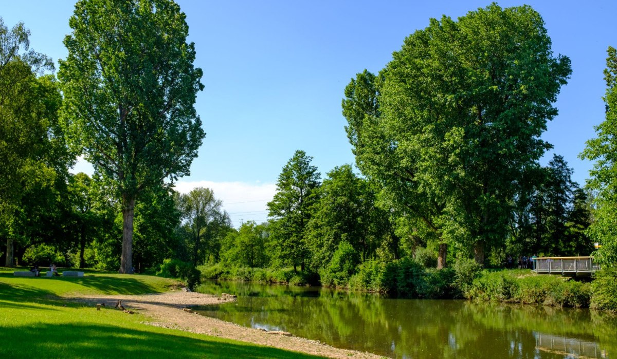 Grünes Flussufer mit großen Bäumen und einer Wiese unter blauem Himmel. Ein kleiner Strandabschnitt ist sichtbar., © WTM GmbH Waiblingen Grünes Flussufer mit großen Bäumen und einer Wiese unter blauem Himmel. Ein kleiner Strandabschnitt ist sichtbar., © WTM GmbH Waiblingen