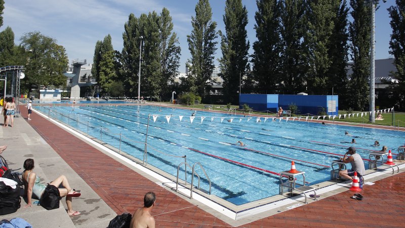 Ein Freibad mit Schwimmern und Sonnenbadenden auf Liegestühlen. Hohe Bäume umgeben das Becken. Menschen genießen das sonnige Wetter., © Stuttgarter Bäder Ein Freibad mit Schwimmern und Sonnenbadenden auf Liegestühlen. Hohe Bäume umgeben das Becken. Menschen genießen das sonnige Wetter., © Stuttgarter Bäder