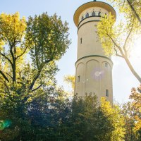 Der Engelbergturm in Leonberg ragt zwischen herbstlich gefärbten Bäumen empor, während die Sonne durch die Blätter scheint., © Stuttgart-Marketing GmbH, Sarah Schmid Der Engelbergturm in Leonberg ragt zwischen herbstlich gefärbten Bäumen empor, während die Sonne durch die Blätter scheint., © Stuttgart-Marketing GmbH, Sarah Schmid
