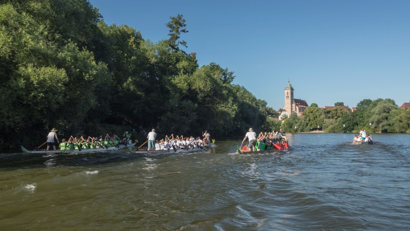 Drachenbootrennen auf einem Fluss, Teams in bunten Trikots paddeln. Im Hintergrund B&auml;ume und ein Kirchturm unter klarem Himmel., &copy; Gisbert Zahn