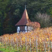 Ein kleines Fachwerkhäuschen mit spitzem Dach steht neben herbstlichen Weinreben. Im Hintergrund sind dichte Bäume zu sehen., © Dieter Sukowski Ein kleines Fachwerkhäuschen mit spitzem Dach steht neben herbstlichen Weinreben. Im Hintergrund sind dichte Bäume zu sehen., © Dieter Sukowski