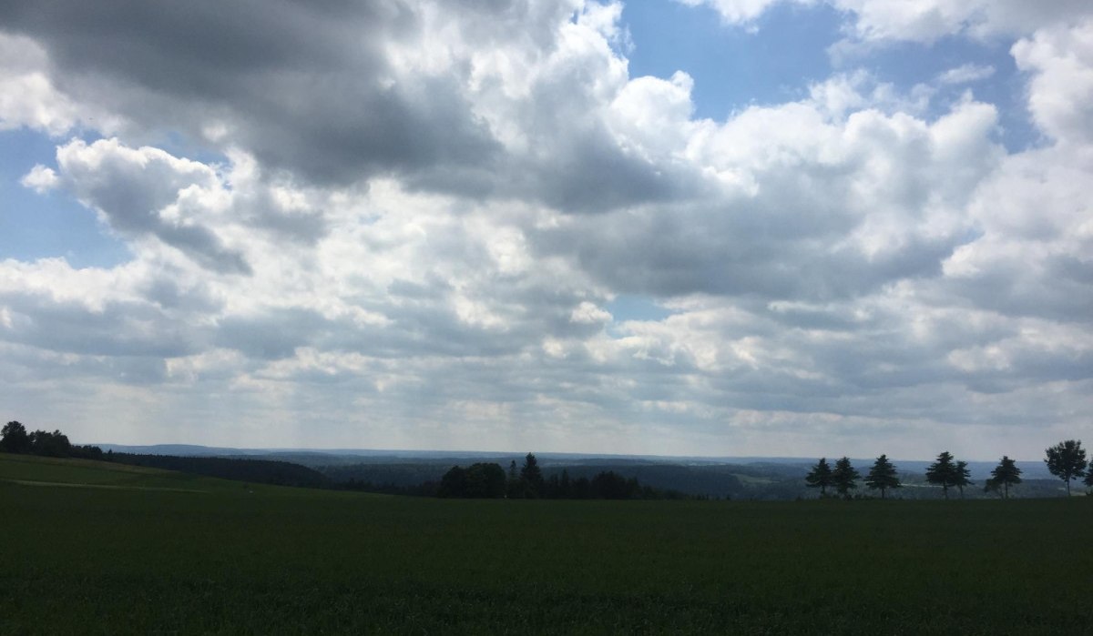 Weite Landschaft mit grünen Wiesen und einem bewölkten Himmel. Am Horizont sind Bäume und Hügel zu sehen., © www.pro-cycl.de Weite Landschaft mit grünen Wiesen und einem bewölkten Himmel. Am Horizont sind Bäume und Hügel zu sehen., © www.pro-cycl.de