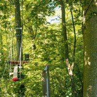 Ein Kletterpark im Wald mit Plattformen und Seilen zwischen Bäumen. Die Umgebung ist dicht bewaldet und grün., © Stuttgart-Marketing GmbH, Sarah Schmid Ein Kletterpark im Wald mit Plattformen und Seilen zwischen Bäumen. Die Umgebung ist dicht bewaldet und grün., © Stuttgart-Marketing GmbH, Sarah Schmid