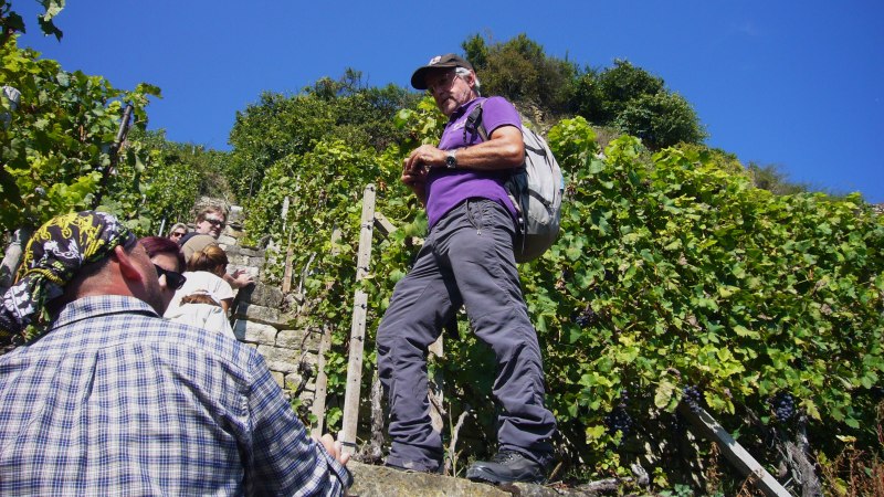 Steillagenfuehrung_Weinerlebnis_Lohfink-Foto_Renate_Lohfink (3), &copy; Renate Lohfink