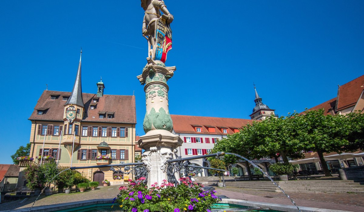 Brunnen mit Statue auf dem Marktplatz von Bietigheim-Bissingen, umgeben von historischen Gebäuden und blühenden Blumen, unter klarem, blauem Himmel. Brunnen mit Statue auf dem Marktplatz von Bietigheim-Bissingen, umgeben von historischen Gebäuden und blühenden Blumen, unter klarem, blauem Himmel.