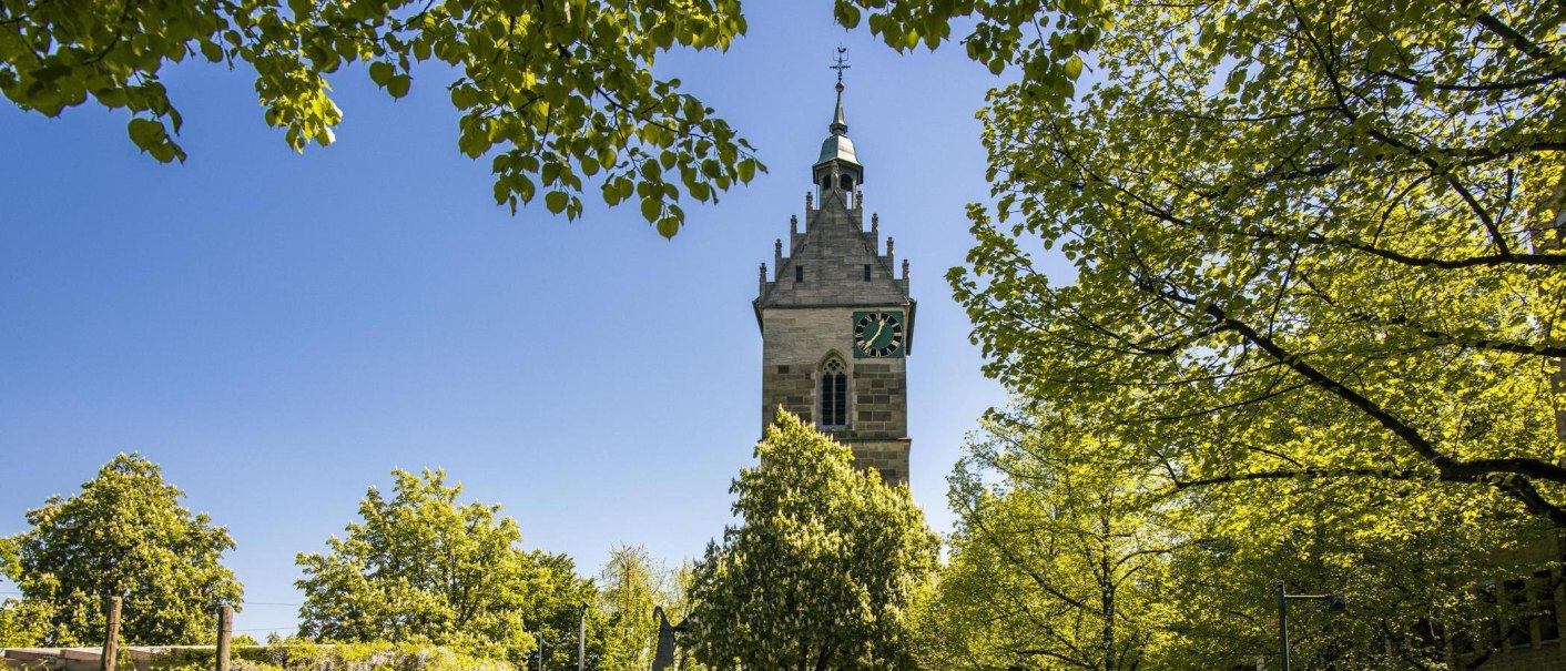 Ein Kirchturm erhebt sich über grüne Bäume unter einem klaren blauen Himmel. Die Szene strahlt Ruhe und Naturverbundenheit aus., © SMG, Sarah Schmid Ein Kirchturm erhebt sich über grüne Bäume unter einem klaren blauen Himmel. Die Szene strahlt Ruhe und Naturverbundenheit aus., © SMG, Sarah Schmid