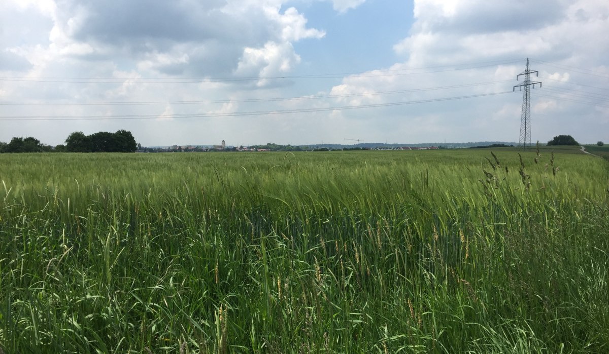 Blick auf Gärtringen, © www.pro-cycl.de