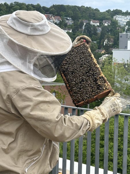 Imker mit Bienenwabe, &copy; Stadtmarketing Leonberg