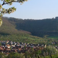 Blühende Bäume rahmen ein Dorf ein, das vor einem bewaldeten Hügel liegt. Im Hintergrund ist eine Burg zu sehen., © Stuttgart-Marketing GmbH Blühende Bäume rahmen ein Dorf ein, das vor einem bewaldeten Hügel liegt. Im Hintergrund ist eine Burg zu sehen., © Stuttgart-Marketing GmbH