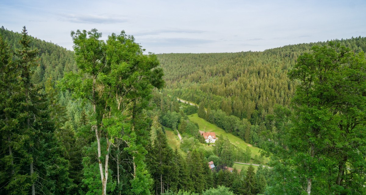 Blick ins sch&ouml;ne Tal der kleinen Enz, &copy; N&ouml;rdlicher Schwarzwald