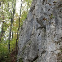 Ein massiver Felsen erhebt sich im Wald, umgeben von hohen Bäumen und herbstlichem Laub., © Bad urach Tourismus