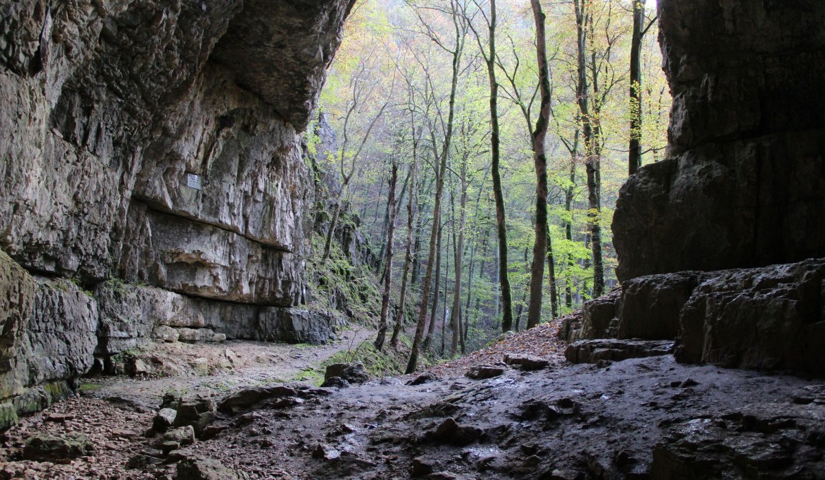 Blick aus der Höhle nach draußen, © Bad Urach Tourismus