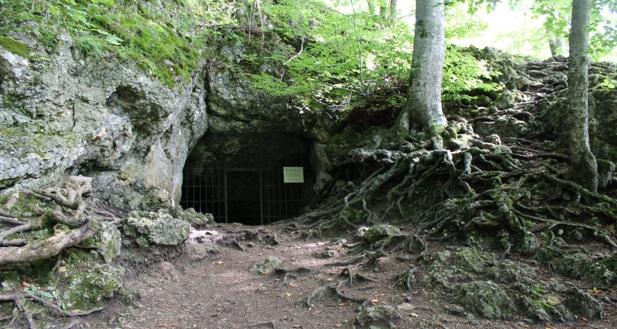 Ein Höhleneingang im Wald, gesichert durch ein Gitter. Umgeben von Bäumen und freiliegenden Wurzeln, die aus dem Boden ragen., © Foto: Volker Rösner Ein Höhleneingang im Wald, gesichert durch ein Gitter. Umgeben von Bäumen und freiliegenden Wurzeln, die aus dem Boden ragen., © Foto: Volker Rösner