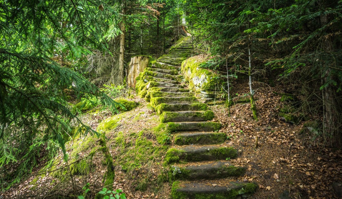 Die Mathildenstaffeln f&uuml;hren mit ca. 600 Stufen steil bergab nach Bad Teinach, &copy; N&ouml;rdlicher Schwarzwald