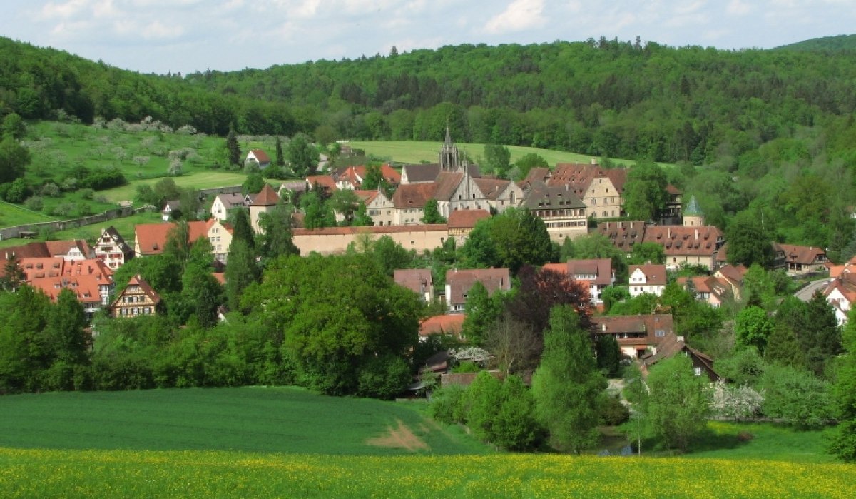 Malerische Stadt mit roten Dächern, umgeben von grünen Wiesen und Wäldern unter blauem Himmel., © Natur.Nah. Schönbuch & Heckengäu