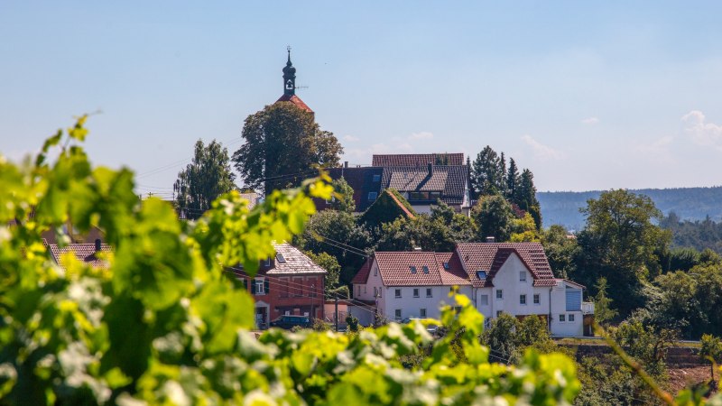 Blick auf Burg Bürg Winnenden, umgeben von Bäumen und Häusern, mit Weinreben im Vordergrund und blauem Himmel im Hintergrund., © SMG, Achim Mende Blick auf Burg Bürg Winnenden, umgeben von Bäumen und Häusern, mit Weinreben im Vordergrund und blauem Himmel im Hintergrund., © SMG, Achim Mende