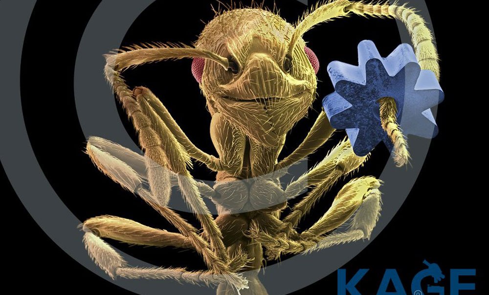 Ameise mit Zahnrad, © KAGE MIKROFOTOGRAFIE Ameise mit Zahnrad, © KAGE MIKROFOTOGRAFIE