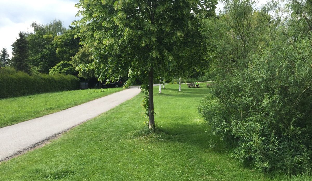 Ein schmaler Weg schl&auml;ngelt sich durch eine gr&uuml;ne Parklandschaft mit B&auml;umen und B&uuml;schen. Im Hintergrund sind B&auml;nke zu sehen., &copy; www.pro-cycl.de