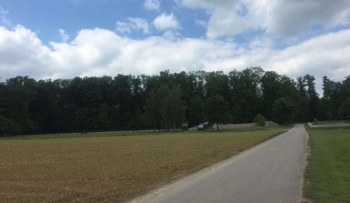 Eine ländliche Straße führt an einem Feld entlang, im Hintergrund ist ein dichter Wald zu sehen. Der Himmel ist teils bewölkt., © www.pro-cycl.de Eine ländliche Straße führt an einem Feld entlang, im Hintergrund ist ein dichter Wald zu sehen. Der Himmel ist teils bewölkt., © www.pro-cycl.de