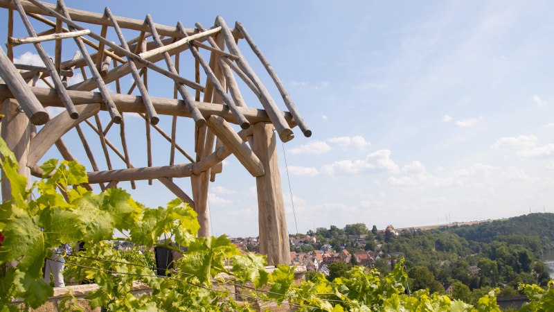 Holzger&uuml;st mit Weinreben im Vordergrund, dahinter eine Stadt und ein Fluss unter blauem Himmel., &copy; SMG, Antje Seeling