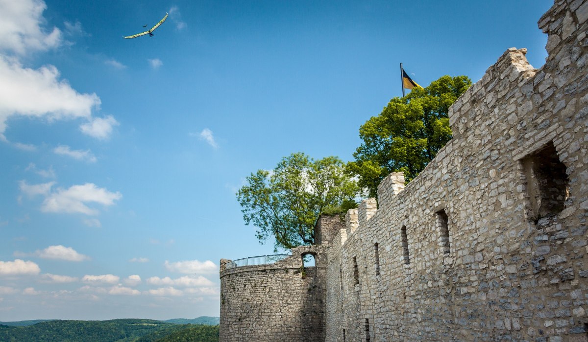 Die Burgruine Hohenneuffen mit einer Steinmauer und Bäumen, darüber ein Segelflugzeug am blauen Himmel., © hochgehberge