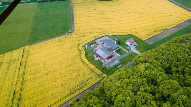 Luftaufnahme eines Bauernhofs inmitten gelber Felder, umgeben von gr&uuml;nen W&auml;ldern und Wiesen. Geb&auml;ude und Wege sind deutlich sichtbar., &copy; Waldhof