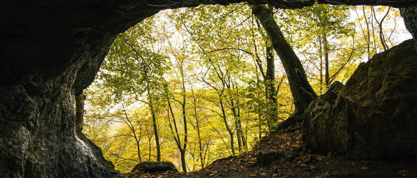 Blick aus einer Höhle auf einen herbstlichen Wald. Die Bäume sind mit gelben Blättern bedeckt, und der Höhleneingang ist von Felsen umrahmt., © Stuttgart-Marketing GmbH, Sarah Schmid