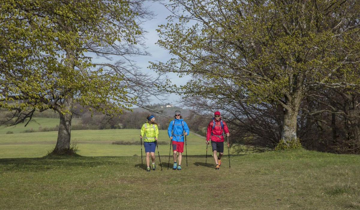 Drei Wanderer in bunter Kleidung gehen mit Stöcken über eine grüne Wiese, umgeben von Bäumen mit frischem Frühlingslaub., © Schwäbische Alb Tourismusverband e.V. Drei Wanderer in bunter Kleidung gehen mit Stöcken über eine grüne Wiese, umgeben von Bäumen mit frischem Frühlingslaub., © Schwäbische Alb Tourismusverband e.V.